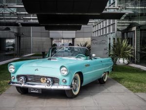 Museo Nicolis Verona, Ford Thunderbird 1955, ph Ivano Mercanzin