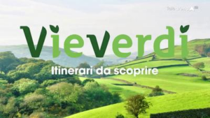 Vie Verdi, Telearena Verona