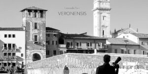 Museo Nicolis, Villafranca Verona, mostra Veronensis, ph Leonardo Ferri
